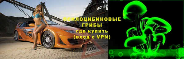 дурь Надым